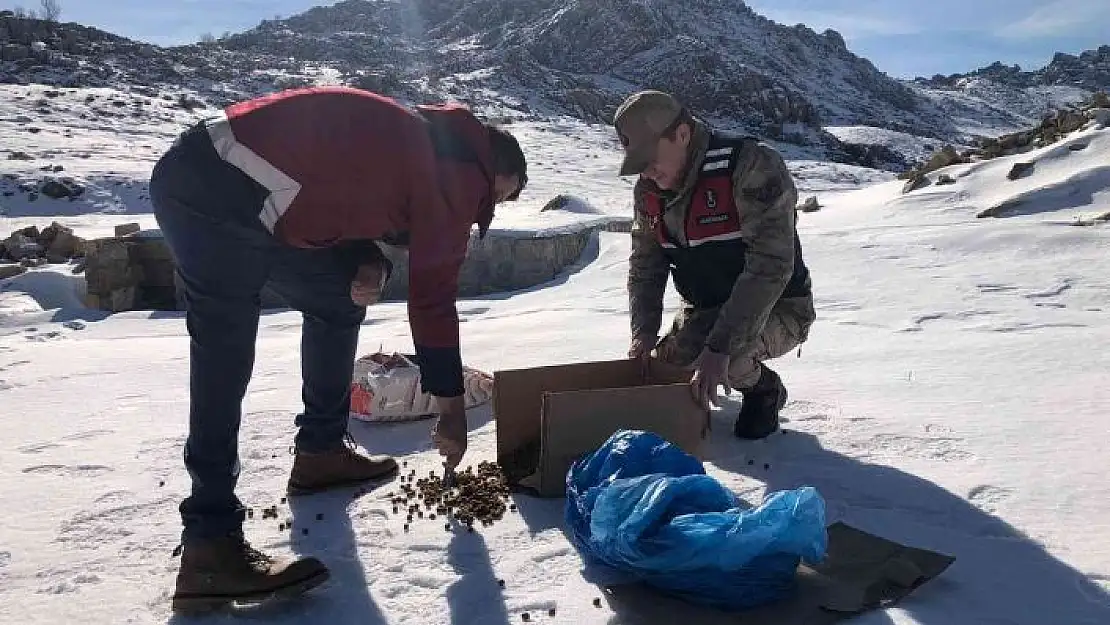 'Jandarma yaban hayvanlarını unutmadı'