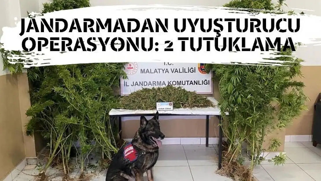 Jandarmadan uyuşturucu operasyonu: 2 tutuklama