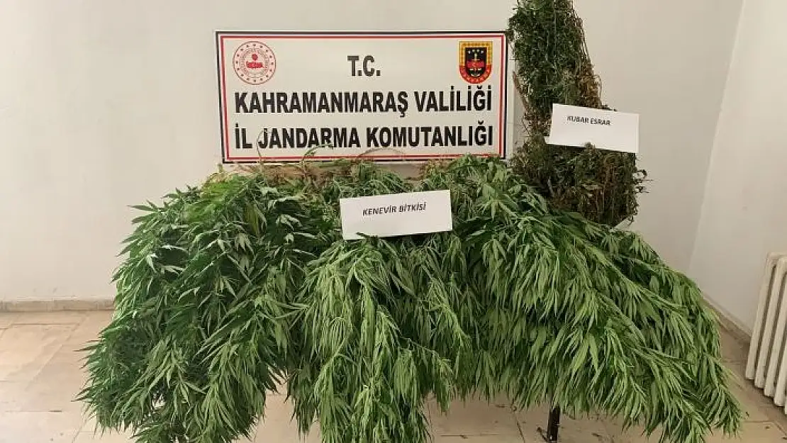 'Jandarmadan uyuşturucu operasyonu'