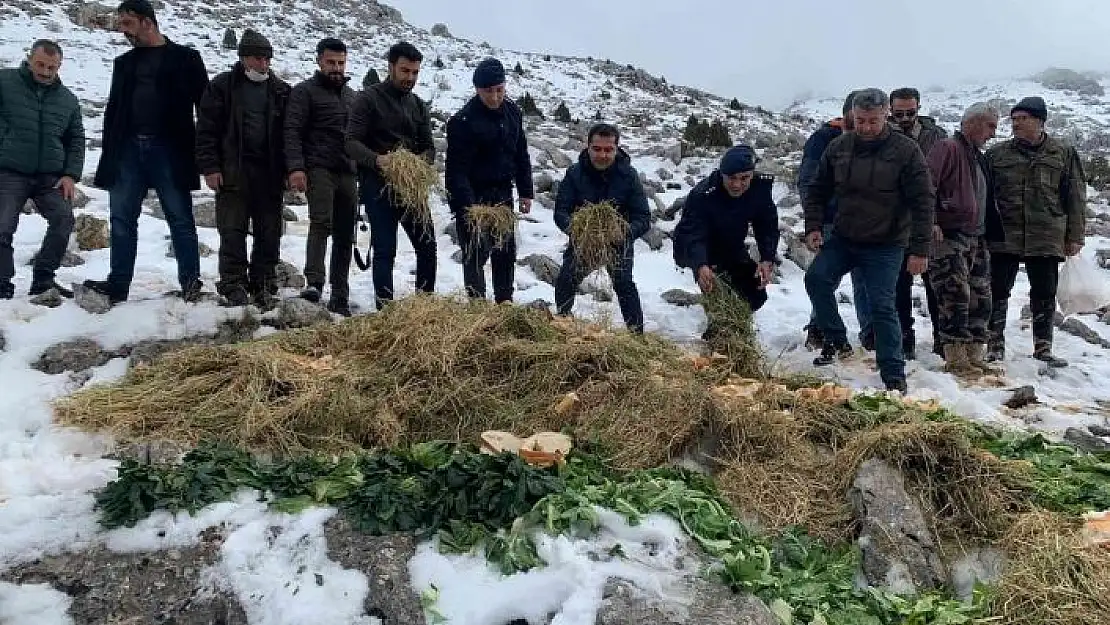 'Jandarmadan yaban hayvanlarına yem'