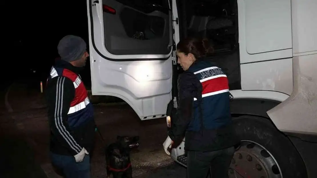 'Jandarmadan yabancı uyruklu şahıslara şok uygulama'