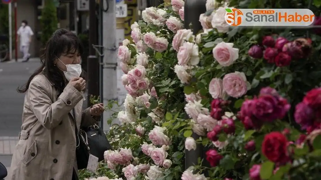 Japonya'da 3 eyalette daha OHAL sona eriyor