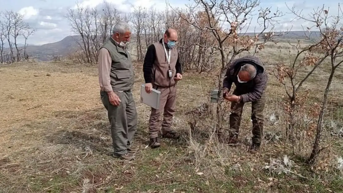 'Kaçak ava karşı foto kapanlar kuruldu, kaçak meterisler yıkıldı'