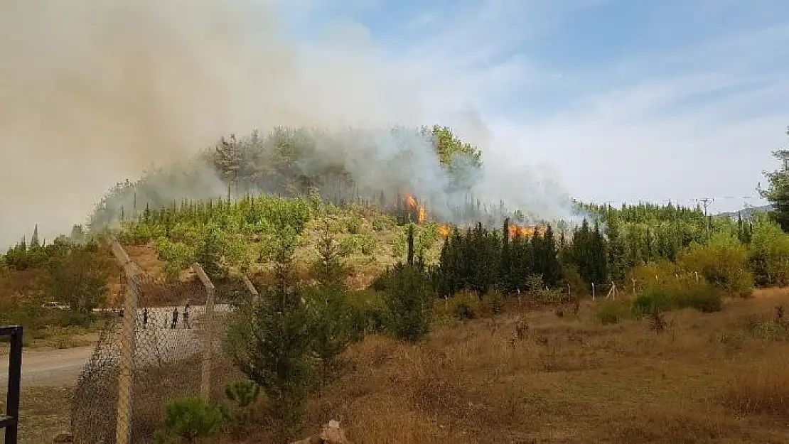 'Kahramanmaraş´ta 4 ayrı noktada yangın çıktı'