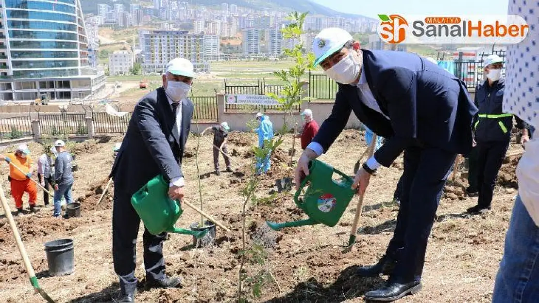Kahramanmaraş'ta 400 sağlık çalışanı için 400 fidan