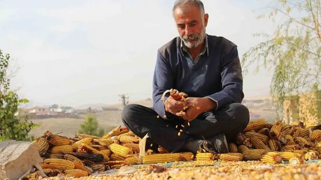 'Kahramanmaraş´ta mısır hasadı sona erdi'