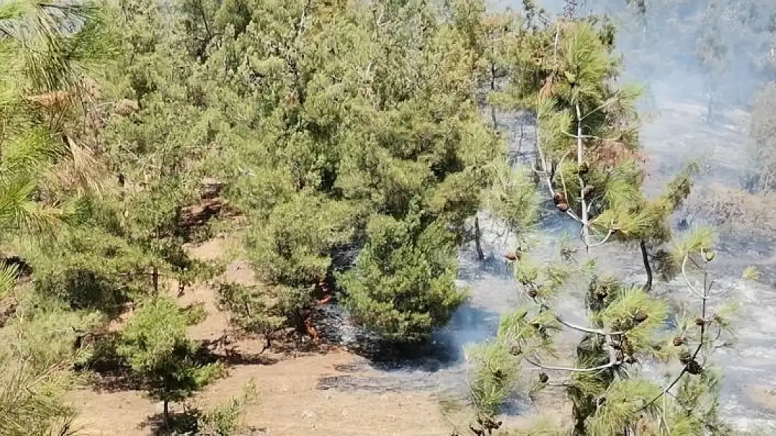 'Kahramanmaraş´ta orman yangını'