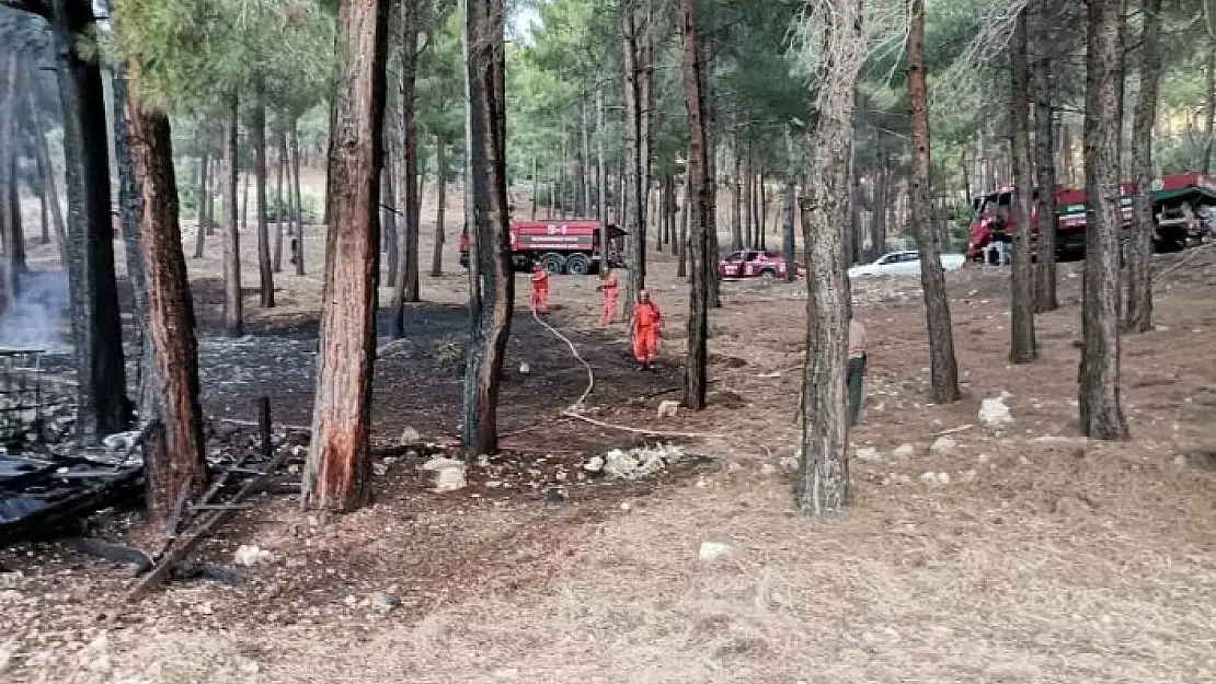 'Kahramanmaraş´ta orman yangını'