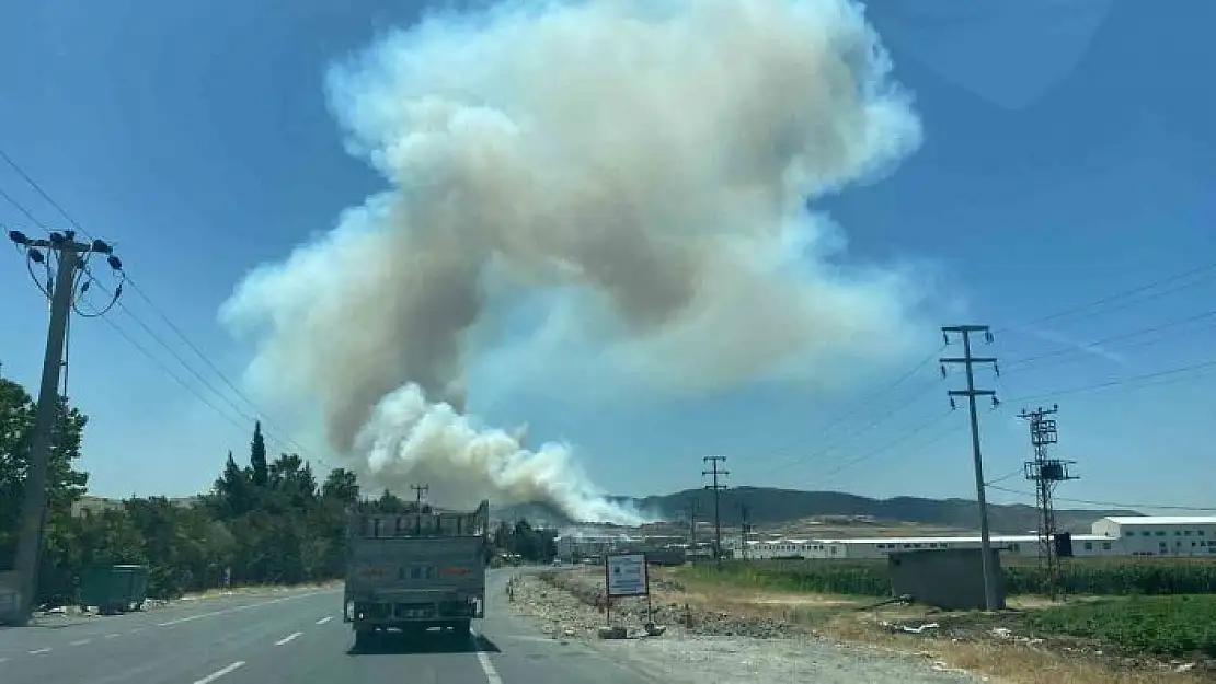 'Kahramanmaraş´ta orman yangını'