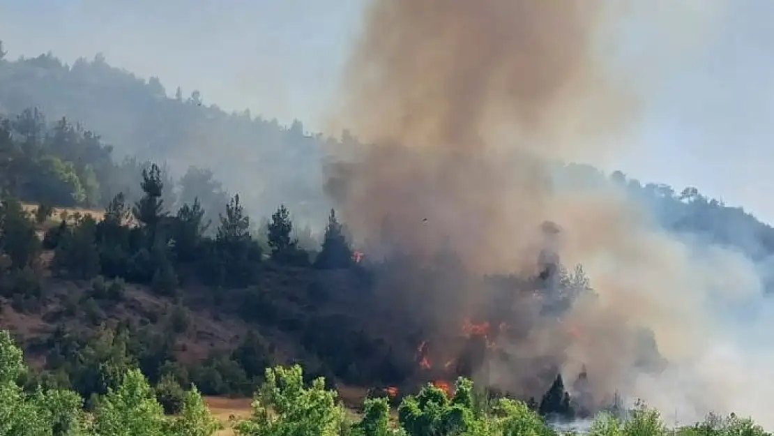 'Kahramanmaraş´ta orman yangını'