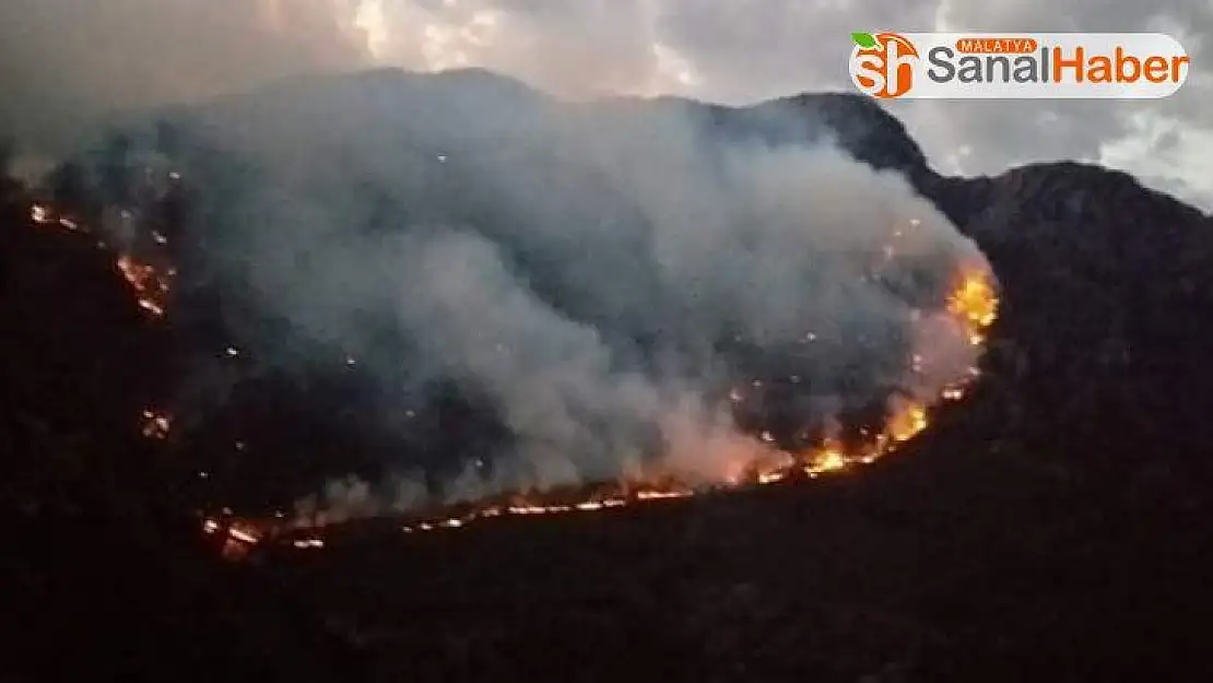 Kahramanmaraş'ta orman yangını