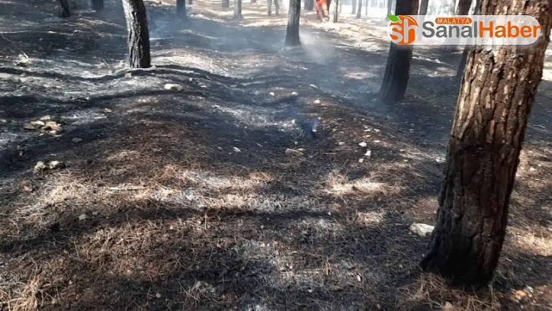 Kahramanmaraş'ta orman yangını