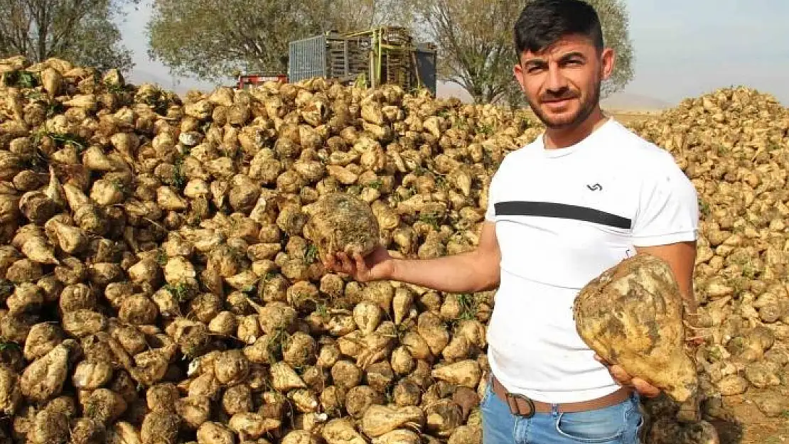 'Kahramanmaraş´ta  şeker pancarı hasadı başladı'