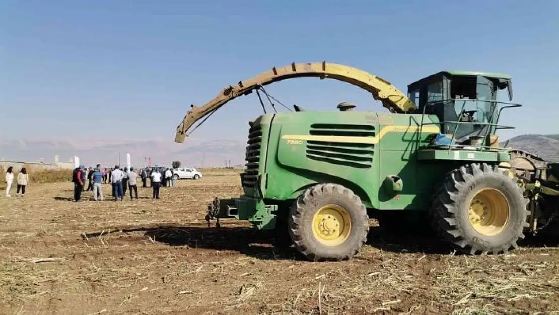 'Kahramanmaraş´ta silajlık mısır hasadı'