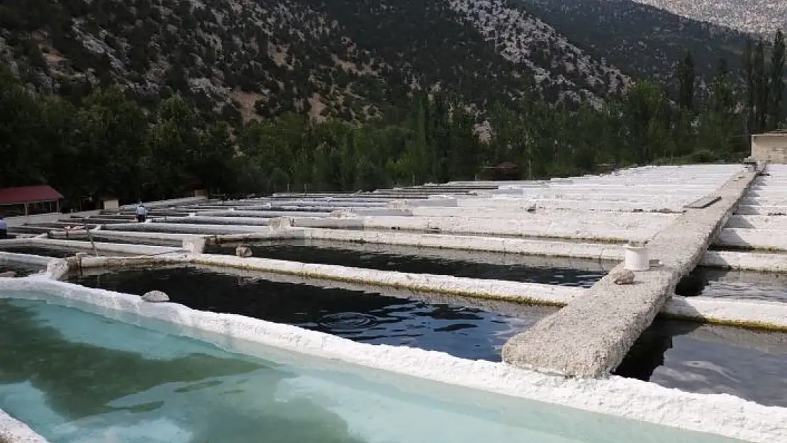 'Kahramanmaraş´ta üretilen alabalık, 50´den fazla ülkeye ihraç ediliyor'
