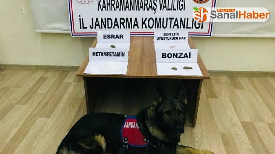 Kahramanmaraş'ta uyuşturucu operasyonu: 13 gözaltı