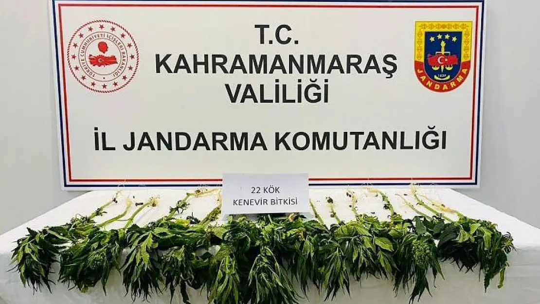 'Kahramanmaraş´ta uyuşturucu operasyonu'