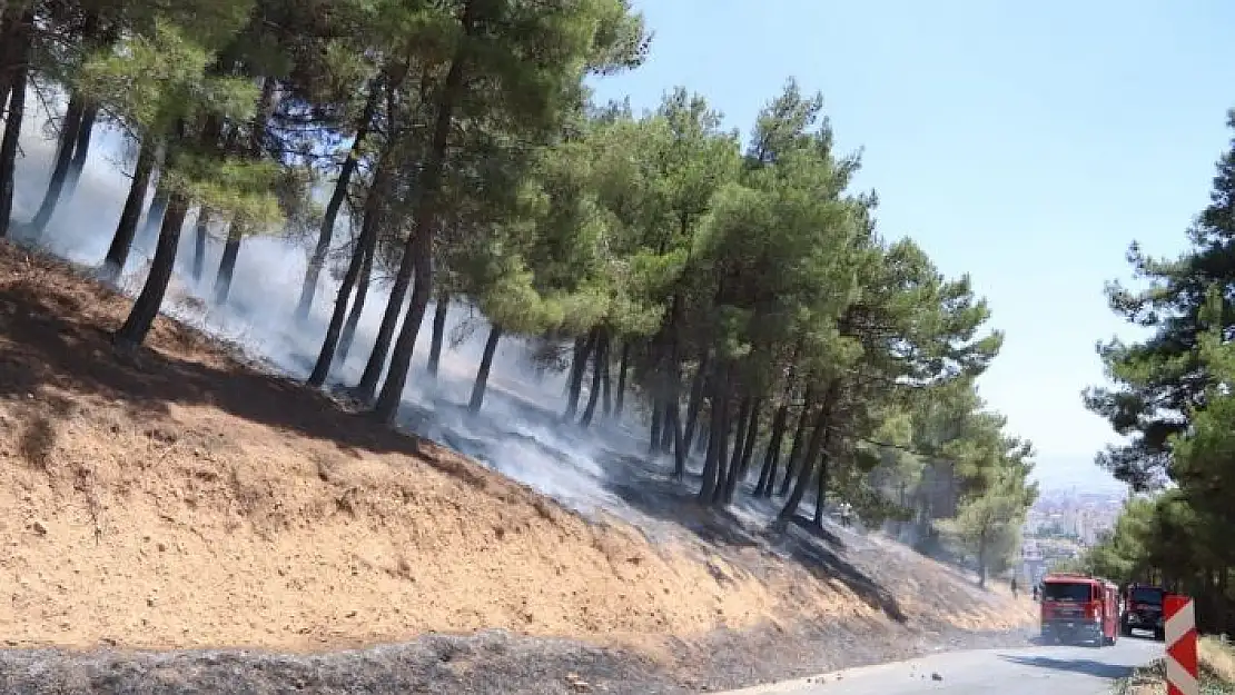 'Kahramanmaraş´taki orman yangınında bir kişi gözaltına alındı'