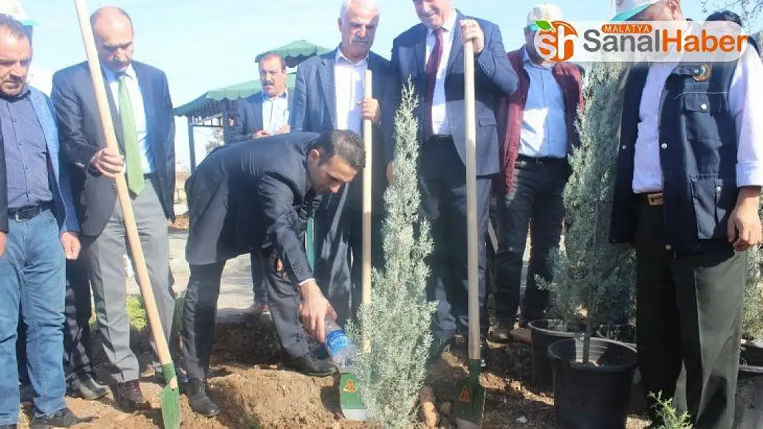 Kahta'da, 2 bin 500 fidan toprakla buluştu