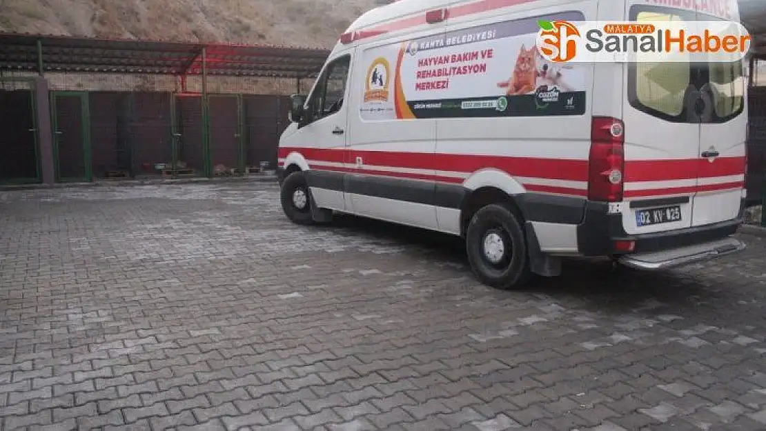 Kahta'da hayvan barınağı faaliyete geçti