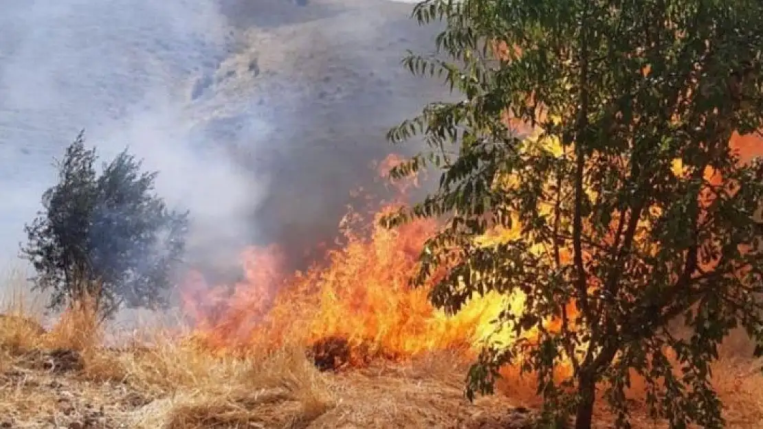 'Kahta´da meyve ağaçlarının da bulunduğu alanda yangın'