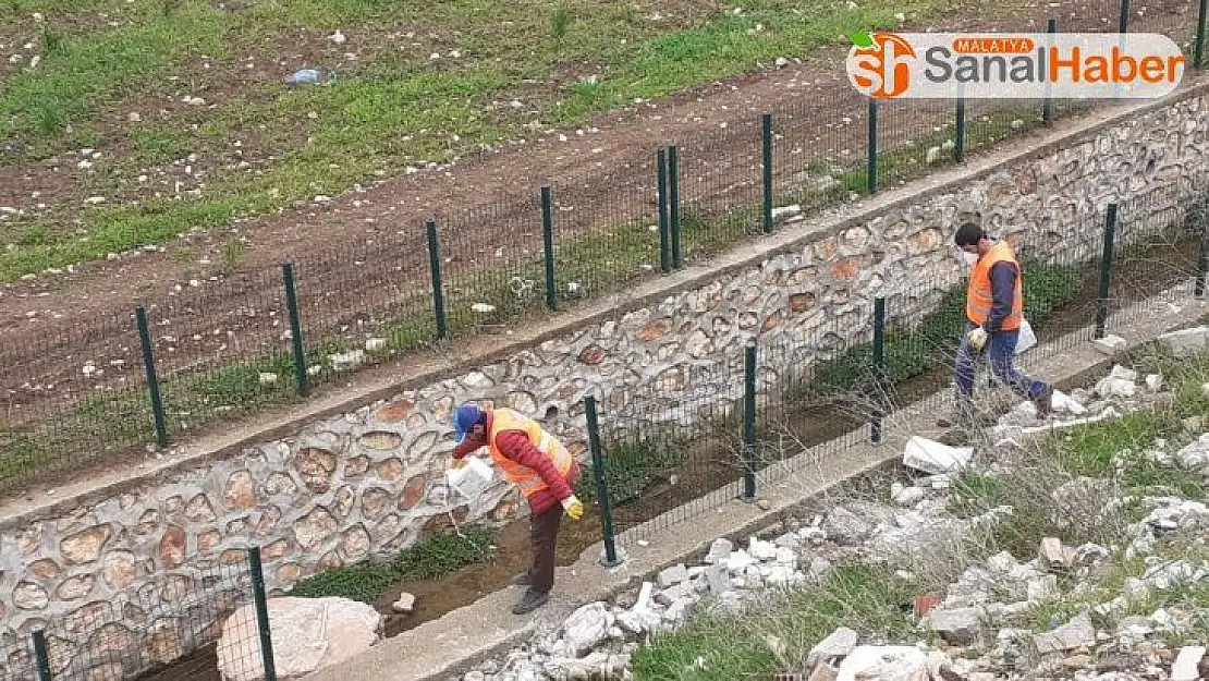 Kahta'da park ve bahçelerde hummalı dezenfekte çalışmaları