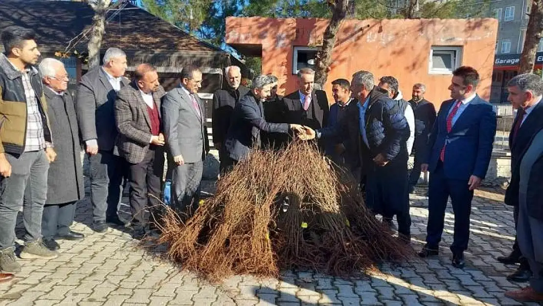 'Kahtalı çiftçilere 10 bin nar fidanı dağıtıldı'