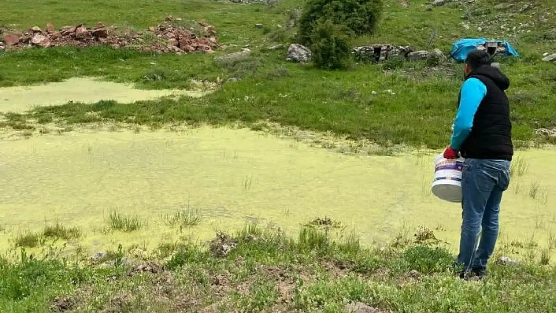 'Karakoçan´da ilaçlama çalışmaları sürüyor'