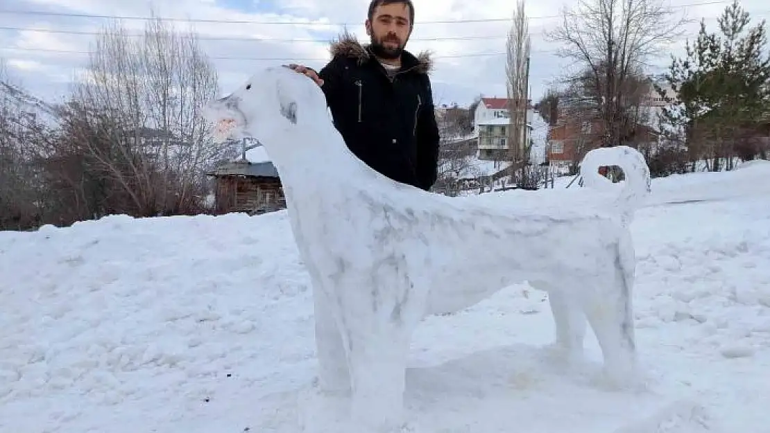 'Kardan Kangal ilgi odağı oldu'