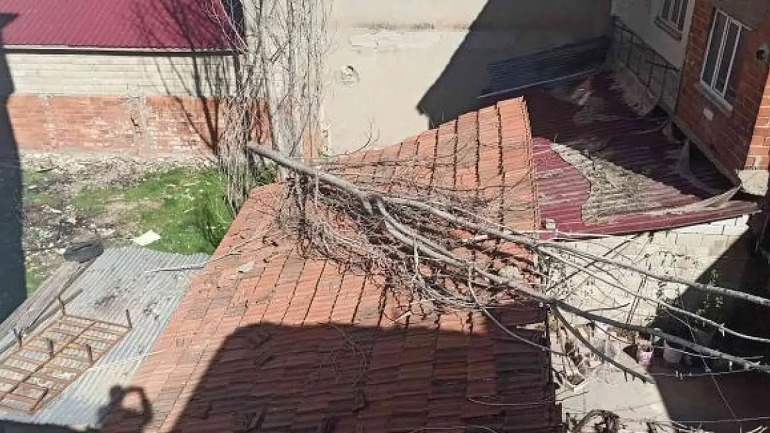 'Kavak ağacı çatıya düştü'