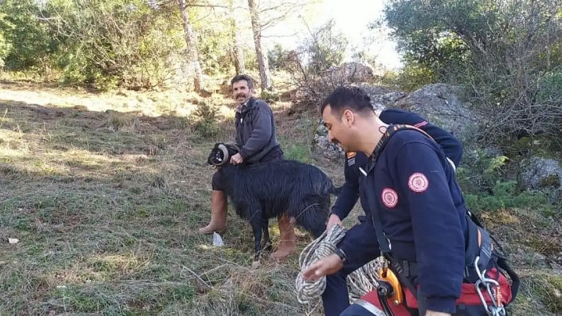 'Kayalıklarda mahsur kalan keçi kurtarıldı'