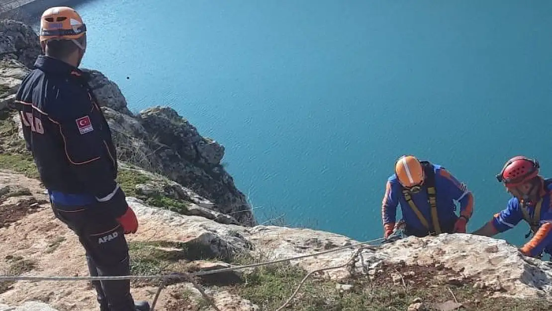 'Kayalıklarda mahsur kalan keçiler halatlarla kurtarıldı'