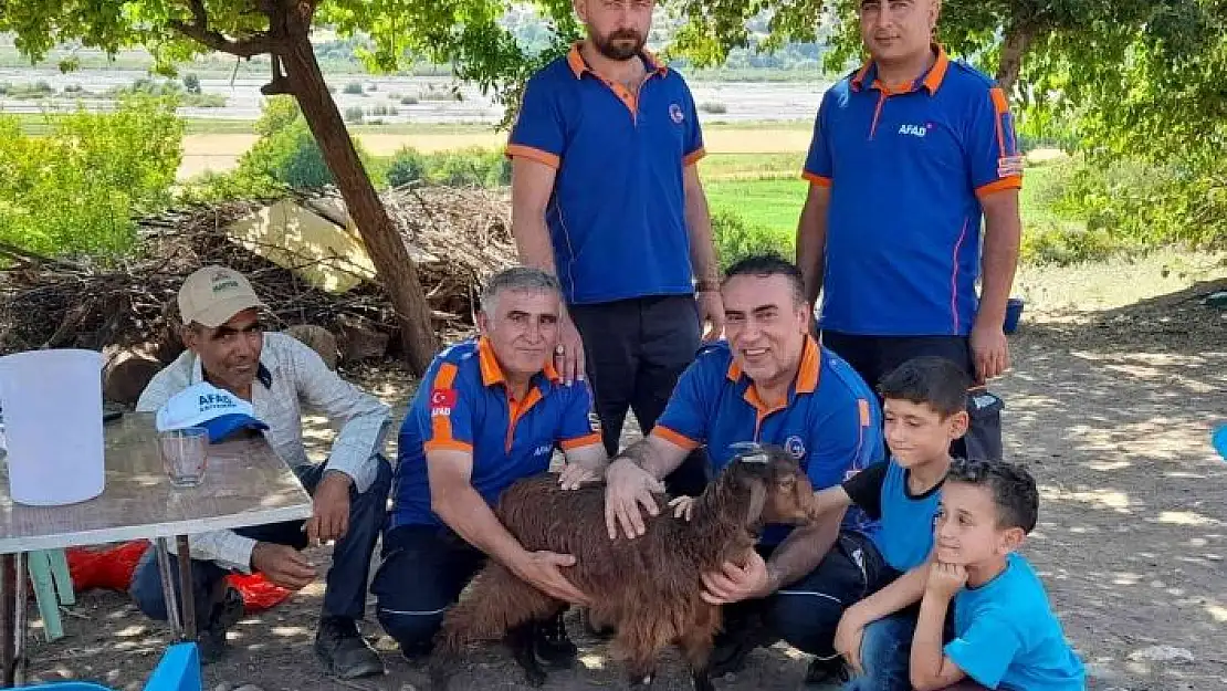 'Kayalıklarda mahsur kalan keçiyi AFAD kurtardı'