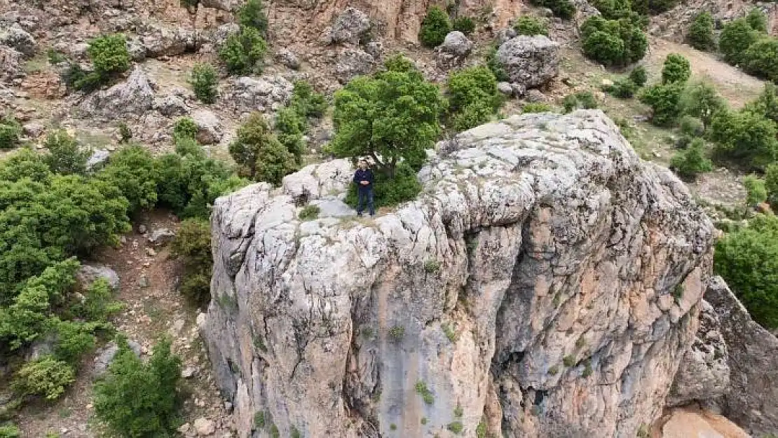 'Kayanın üzerindeki ağaç görenlerin dikkatini çekiyor'