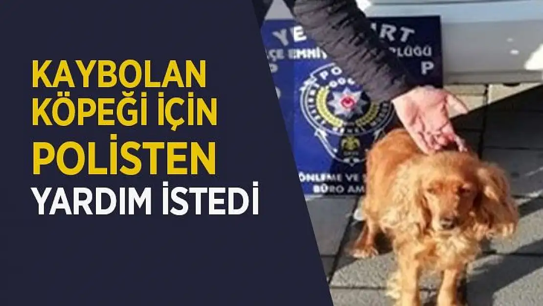 Kaybolan köpeği için polisten yardım istedi