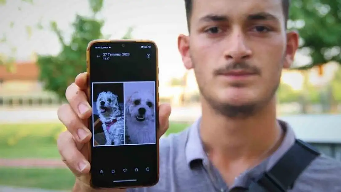 'Kaybolan köpeğini bulmak için sokak sokak geziyor'