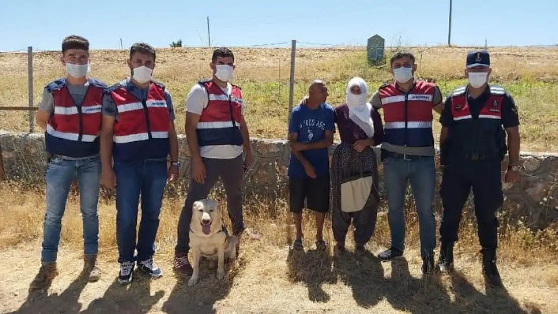 'Kaybolan zihinsel engelli şahıs, iz takip köpeğiyle bulundu'