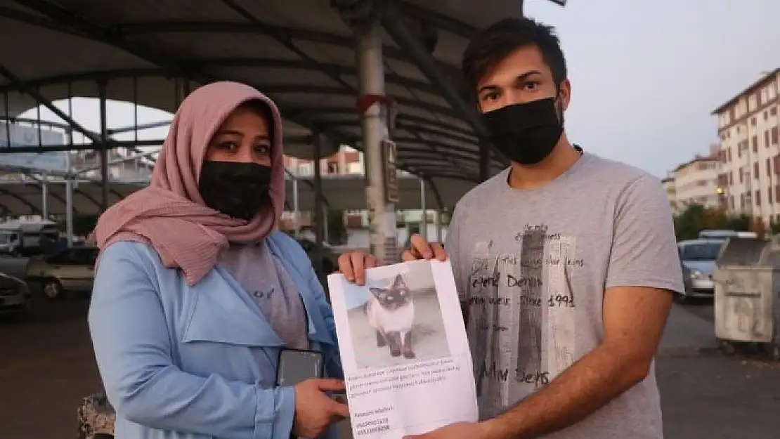 'Kaybolunca seferler oldular, Pekmez bugün bulundu'