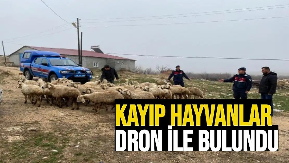 Kayıp hayvanlar dron ile bulundu