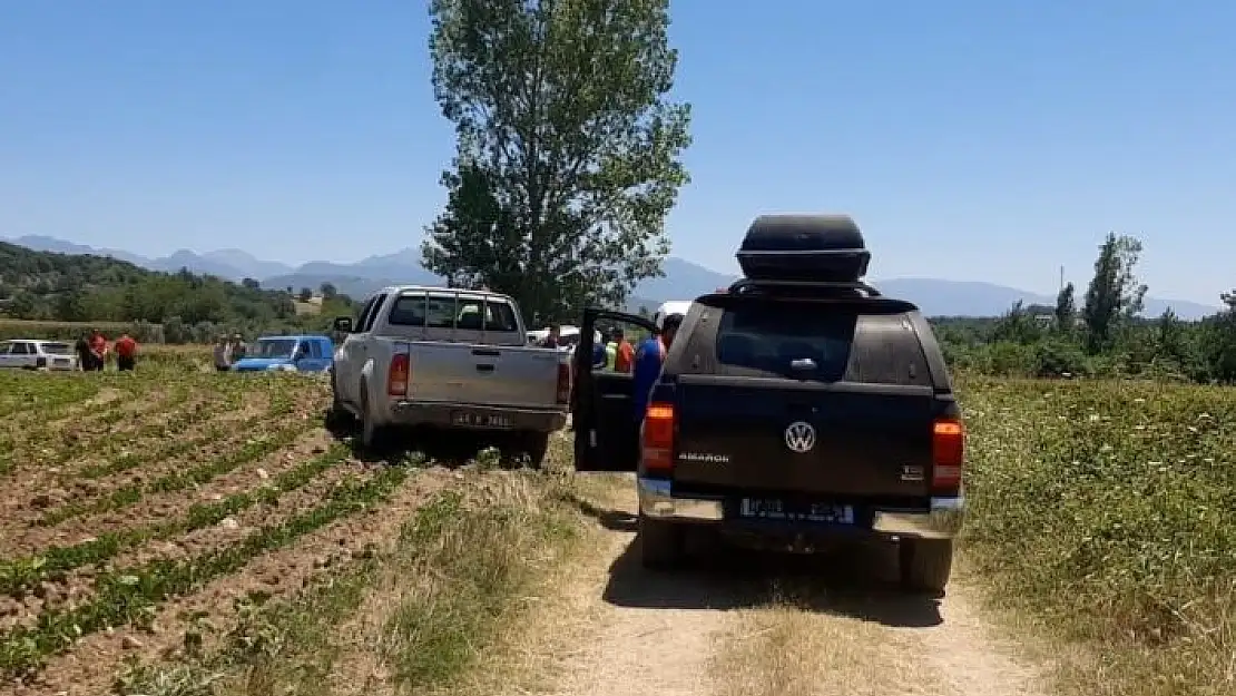 'Kayıp yaşlı kadın mısır tarlasında ölü olarak bulundu'