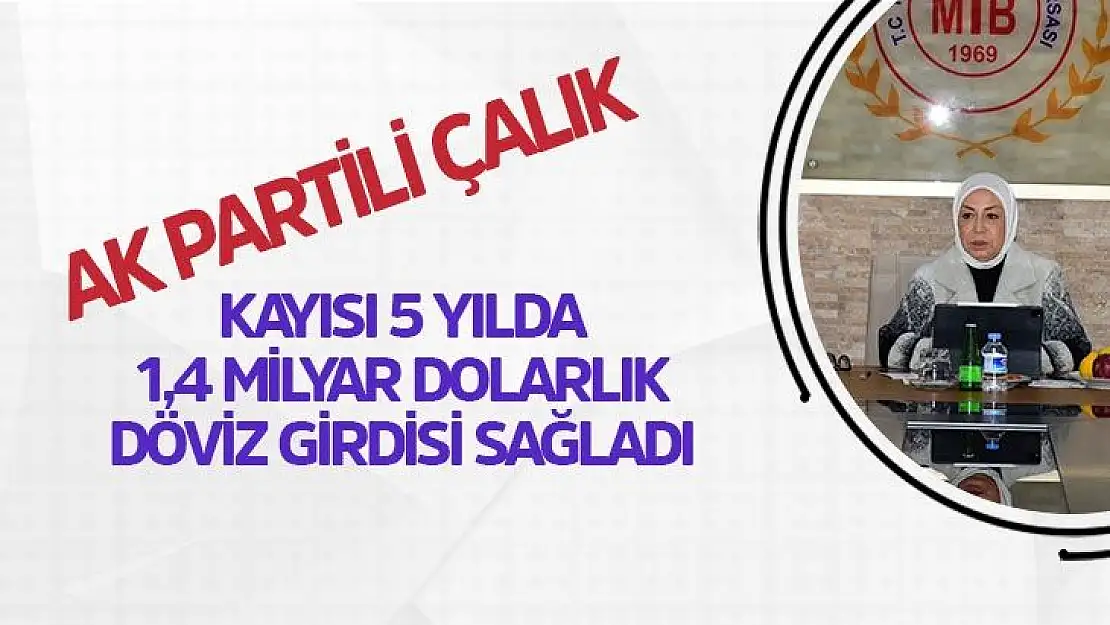 Kayısı 5 Yılda 1,4 Milyar Dolarlık Döviz Girdisi Sağladı