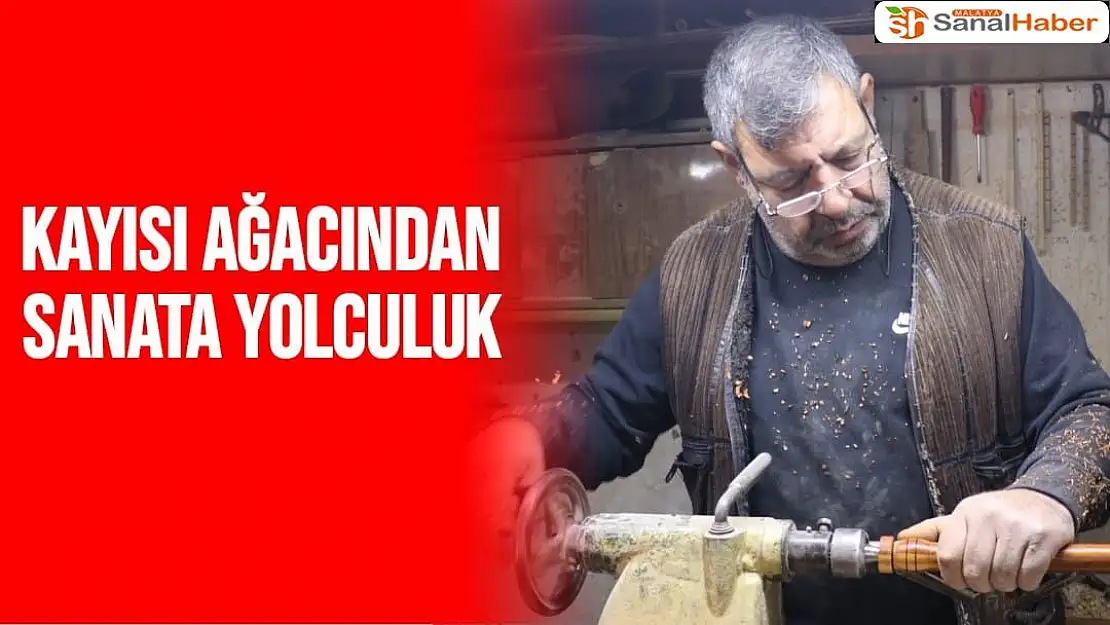 Kayısı ağacından sanata yolculuk