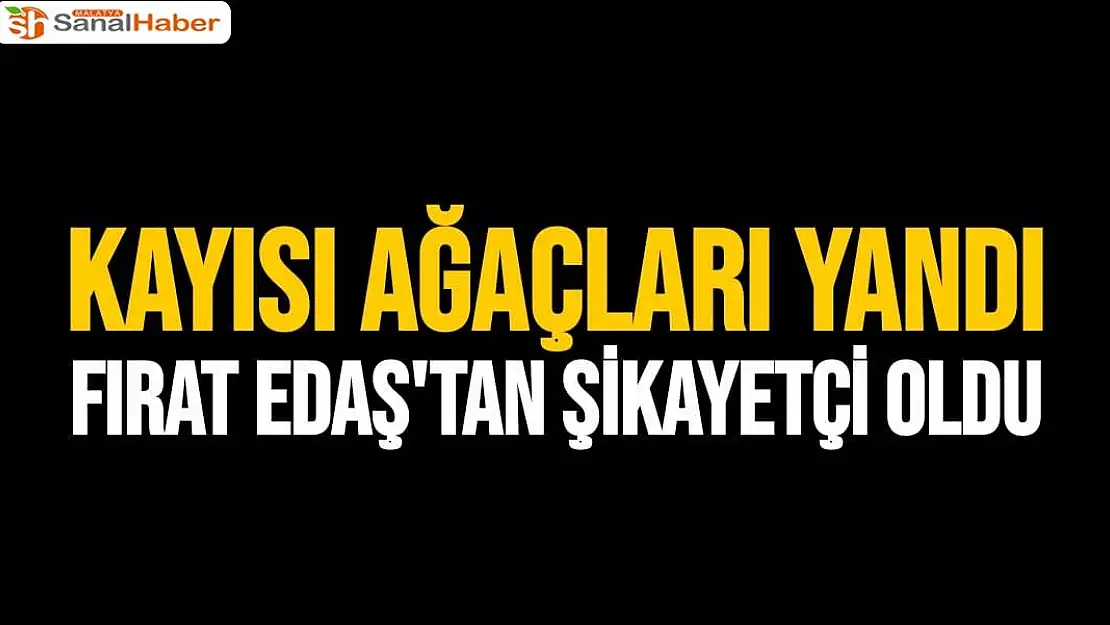 Kayısı ağaçları yandı, Fırat EDAŞ´tan şikayetçi oldu