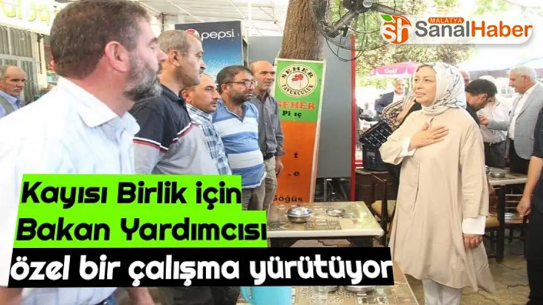 Kayısı Birlik için bakan yardımcısı özel bir çalışma yürütüyor