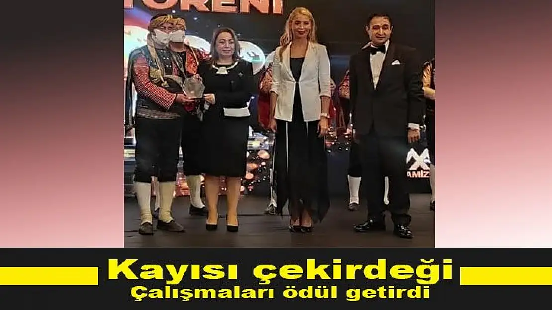 Kayısı çekirdeği çalışmaları ödül getirdi