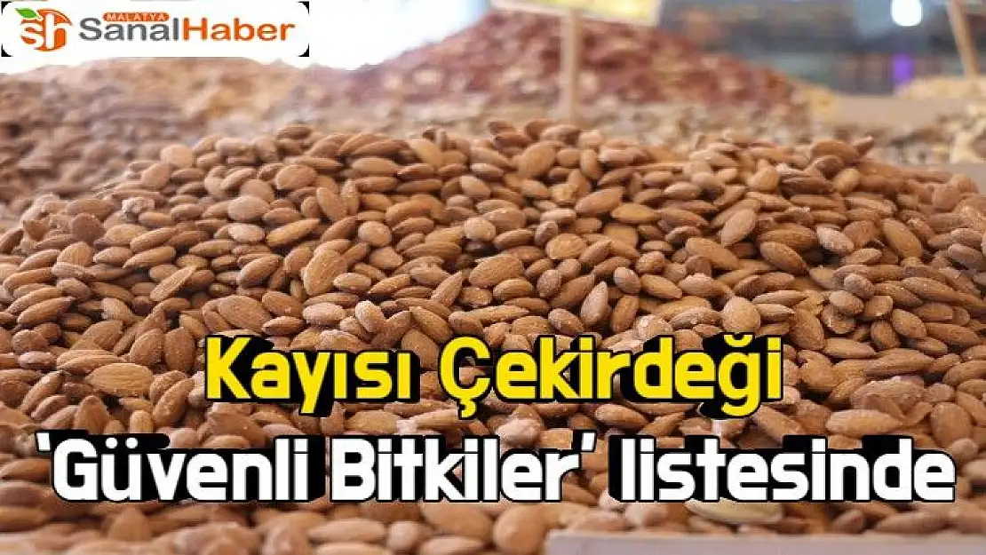 Kayısı Çekirdeği `Güvenli Bitkiler´ listesinde