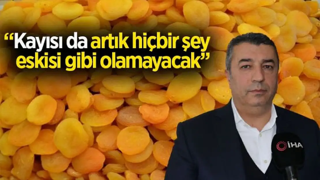 Kayısı da artık hiçbir şey eskisi gibi olamayacak