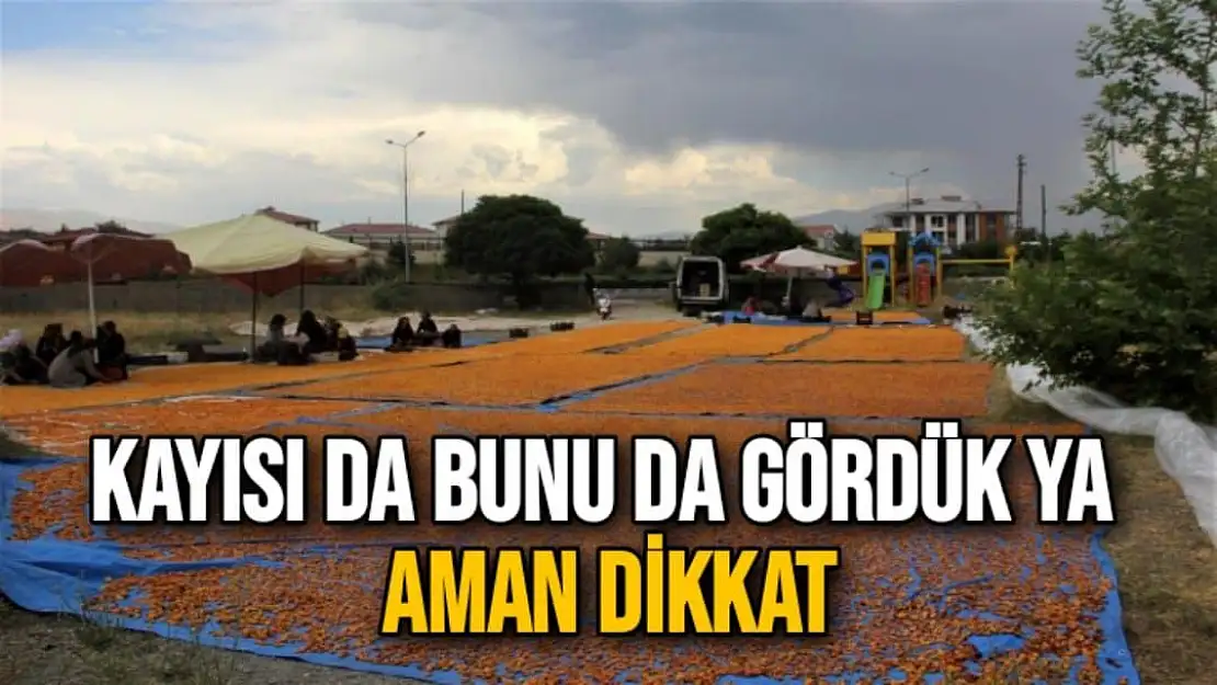 Kayısı da bunu da gördük ya  Aman Dikkat