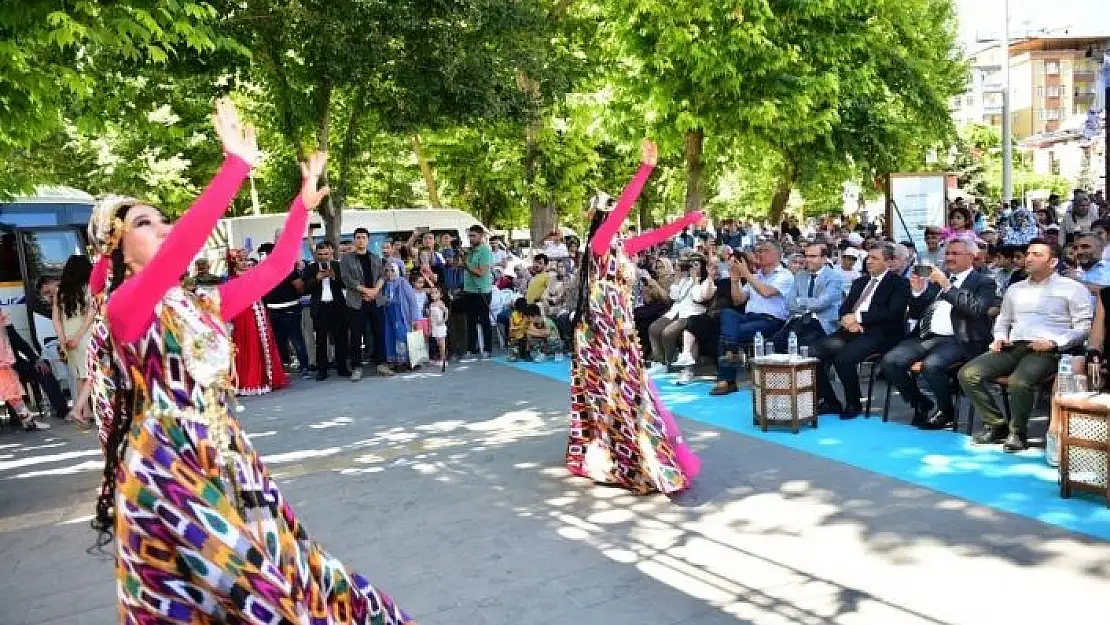 'Kayısı Festivali etkinlikleri coşkuyla devam ediyor'