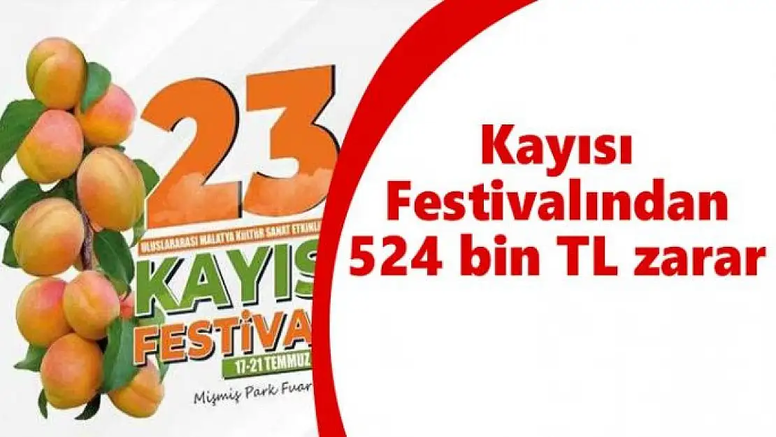 Kayısı Festivalından 524 bin TL zarar